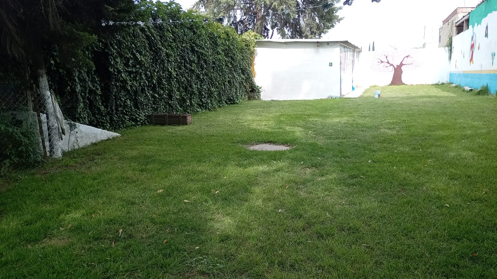 Jardín escolar del Colegio Paideia
